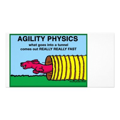 AgilityPhysics Photo Greeting Card by cathylester