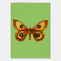 Aglia Tau Butterfly cards
