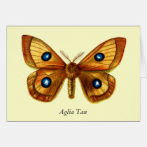 Aglia Tau Butterfly cards