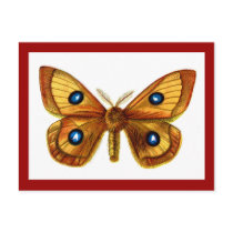 Aglia Tau Butterfly postcards