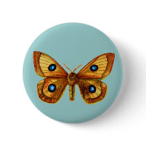Aglia Tau male buttons