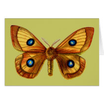 Aglia Tau male cards