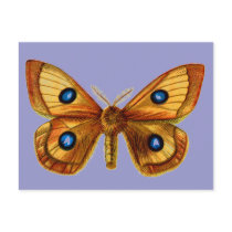 Aglia Tau male postcards
