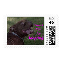¡Agradezca Youfor, adoptando! sellos