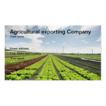 Agricultural exporting company business card