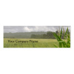 Agricultural maize business card