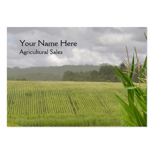 Agricultural maize business card (front side)