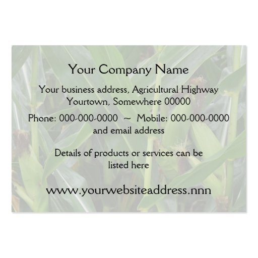 Agricultural maize business card (back side)