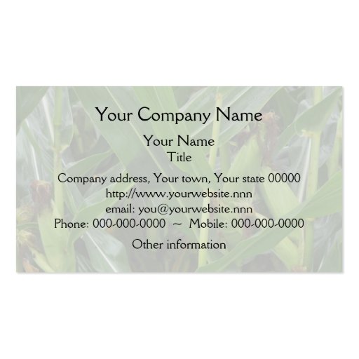 Agricultural maize business card (back side)