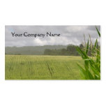 Agricultural maize business card