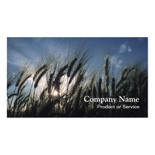 Agriculture business card (front side)