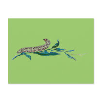 Agrotis pronuba caterpillar postcards