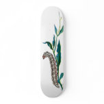 Agrotis pronuba caterpillar skateboard deck