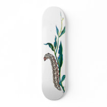 Agrotis pronuba caterpillar skateboard deck