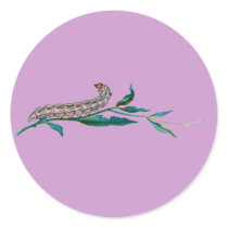 Agrotis pronuba caterpillar stickers