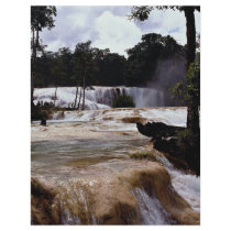 Agua Azul Waterfalls, Chiapas State, Mexico Flyer