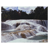Agua Azul Waterfalls, Chiapas State, Mexico Full Color Flyer