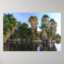 Agua Caliente Park Bridge Poster