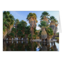 Agua Caliente Park Greeting Cards