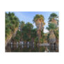 Agua Caliente Park Postcard