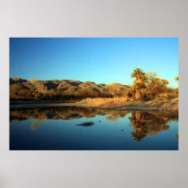 Agua Caliente Park Posters