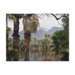 Agua Caliente Park Tucson Az postcards