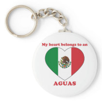 Aguas Key Chain