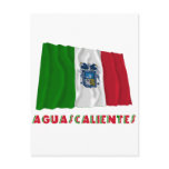 Aguascalientes Waving Unofficial Flag Postcard