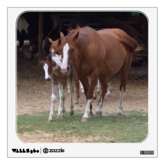 AH- Horse and Foal Wall Decal