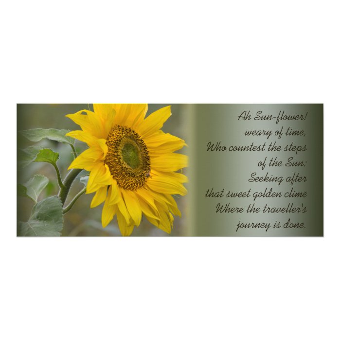 Ah Sun-flower CC0272 Poetry Card