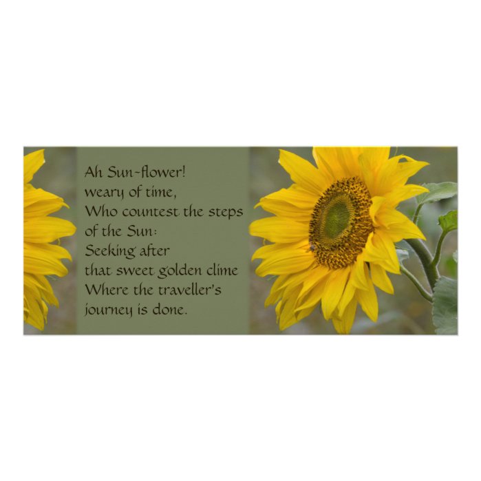 Ah Sun-flower CC0274 Poetry Card