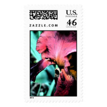 Ah the Iris! postage