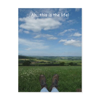"Ah, this is the life" Postcard by MaryMcandrew