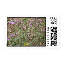 AHA! STAMPS