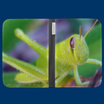 Ahh, Grasshopper! caseable cases