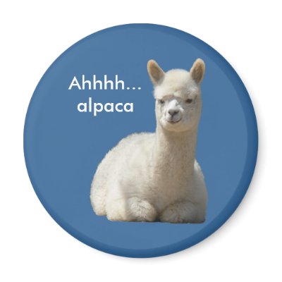 Ahhhh Alpaca Magnet by WalnutCreekAlpacas