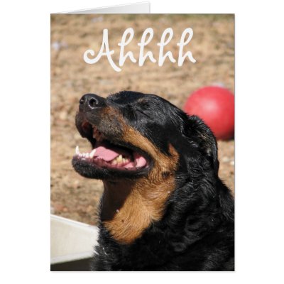 Ahhhh Greeting Card by rosietx1