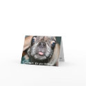 AHHHH! It's your birthday! Birthday Card by Shorty314 AHHHH! It's your birthday! Birthday Card