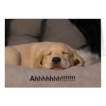 Ahhhhhhh!!!!! Greeting Card