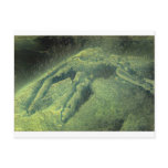 ahogado postcards