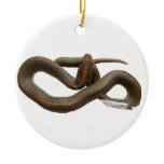 AHS Circle Ornament