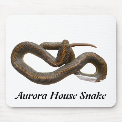 AHS Mousepad by Reptilestore