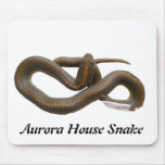 AHS Mousepad