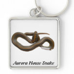 AHS Premium Square Keychain