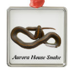 AHS Premium Square Ornament
