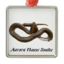AHS Premium Square Ornament