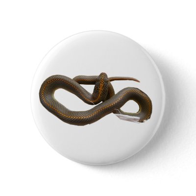 AHS Round Button by Reptilestore