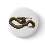 AHS Round Button