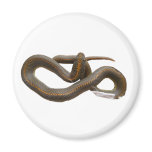 AHS Round Magnet