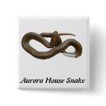 AHS Square Button